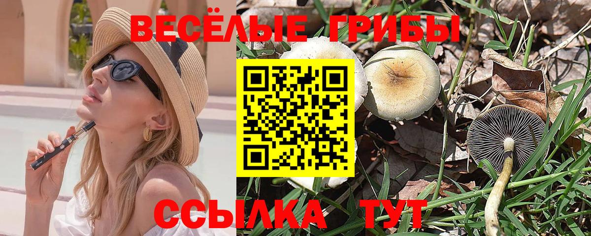 Мичуринск  Галлюциногенные грибы прущие грибы  купить наркотики сайты  Вход с VPN 