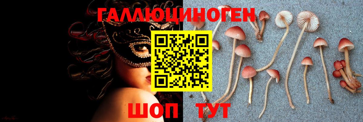 Галлюциногенные грибы Magic Shrooms Мичуринск